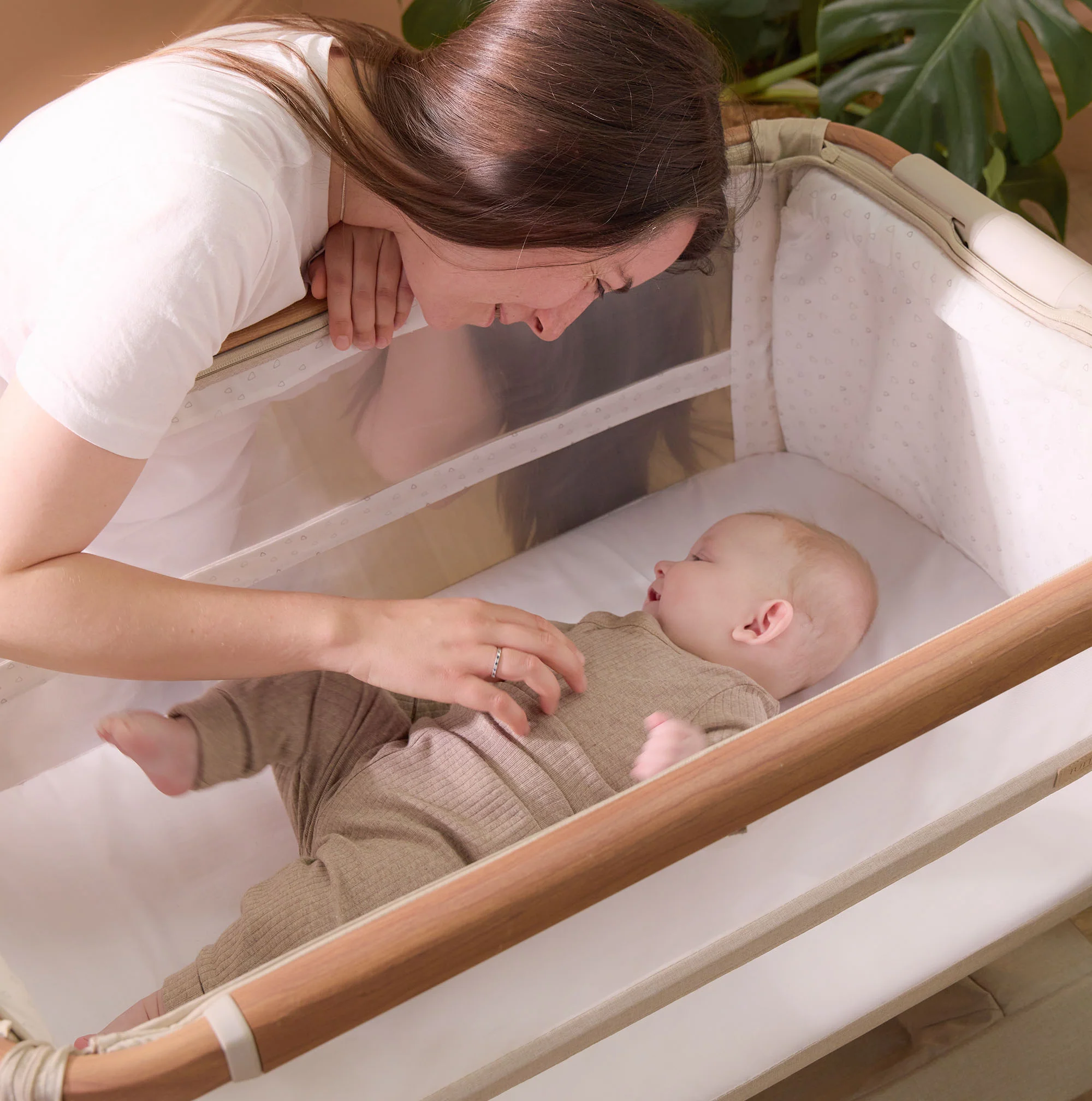 CoZee XL Bedside Crib & Cot - Image 5